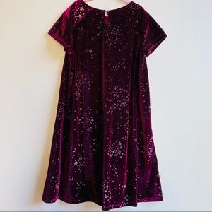ZARA Girls Collection Purple Velour Dress